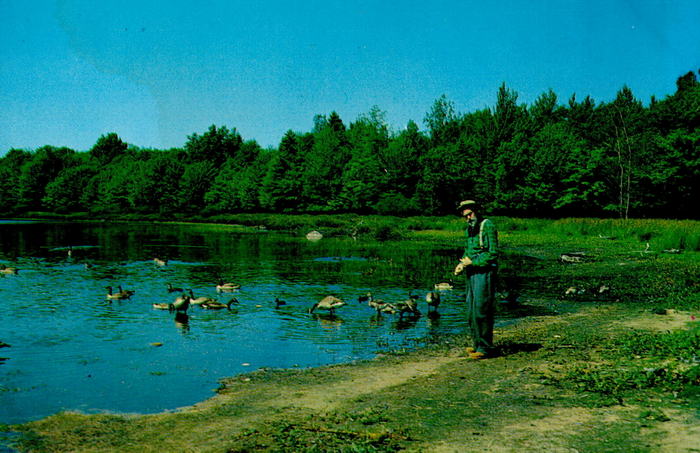 Blaney Park Resort - Postcards And Mementos (newer photo)